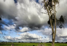 [视频]李强在中国电信中国联通中国移动所属企业调研.